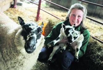 Anne Gow with some farm animals