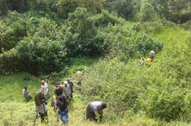 Locals clearing the bush in Buhunga