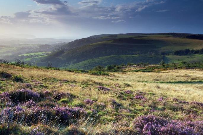 Quantock Hills