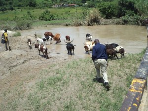 Water collection at the Rushaya River